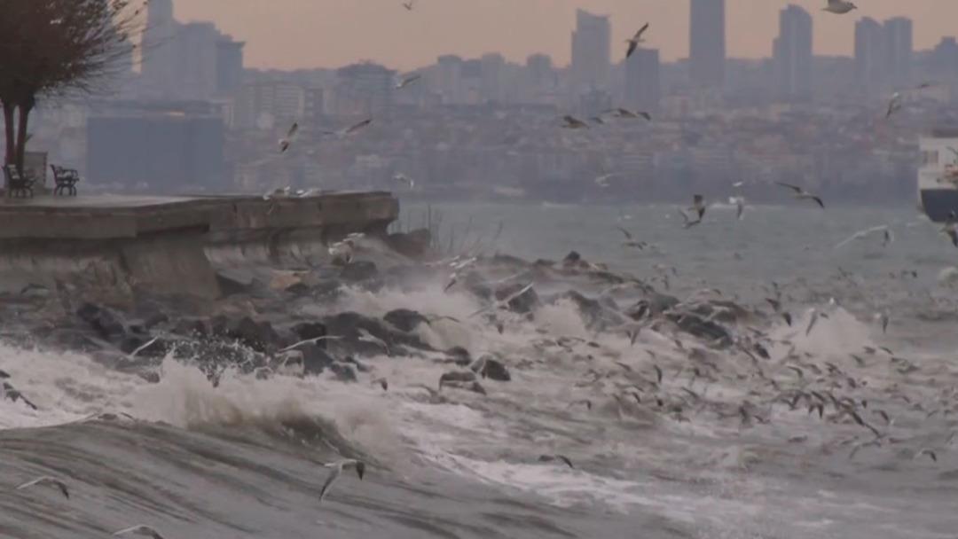 İstanbul da lodos hayatı olumsuz etkiledi! Kritik doğal gaz uyarısı 2