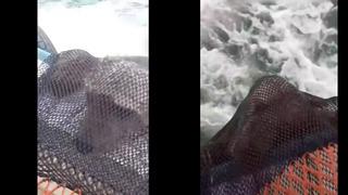 Giresun'da balık tutarken beklenmedik olay: Ağa ayı takıldı