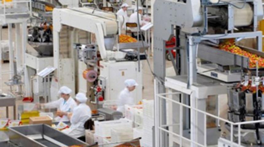 Mondelez'den Türkiye'ye büyük yatırım