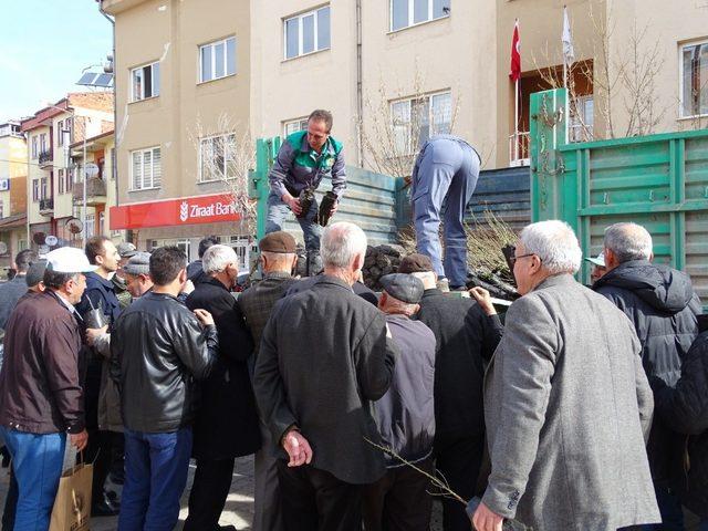 Halka 2 bin 500 ücretsiz fidan dağıtıldı