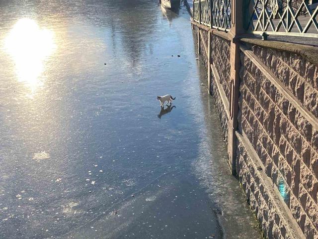 Porsuk &Ccedil;ayı&rsquo;nın buz tutan y&uuml;zeyi &ccedil;&ouml;ple kaplanmaya başladı 6