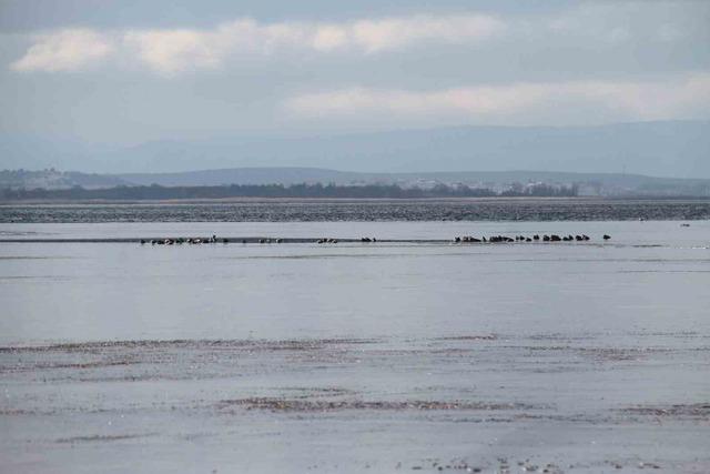 Şiddetli soğuklar Beyşehir G&ouml;l&uuml; kıyılarının buz tutmasına yol a&ccedil;tı 2