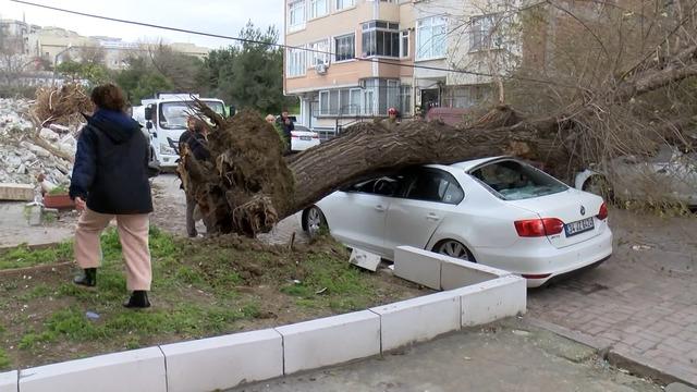 İstanbul da lodos; ağa&ccedil; 4 aracın &uuml;zerine devrildi: 1 saniye ile kurtuldum 1