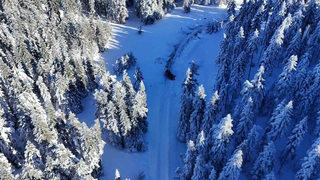 Karla kapanan 278 k&ouml;y yolundan 260&rsquo;ı a&ccedil;ıldı 1