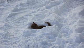 Eski kışlar geri geldi, Kızılırmak&rsquo;ın y&uuml;zeyi kısmen dondu