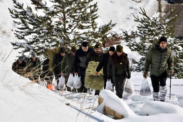 G&uuml;m&uuml;şhane&rsquo;de a&ccedil; kalan yaban hayvanları i&ccedil;in seferberlik 3