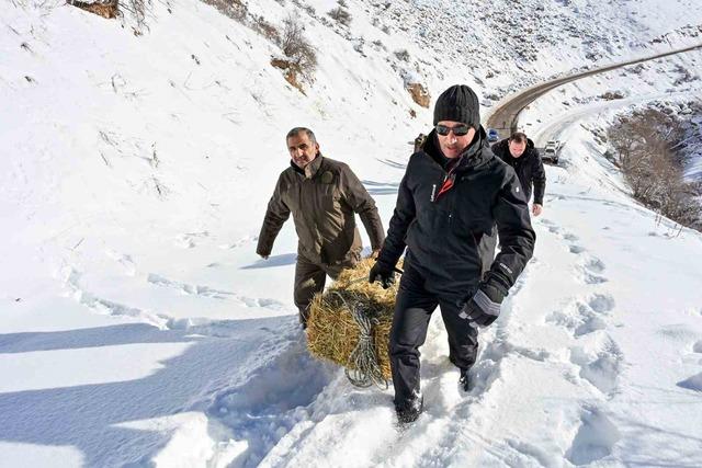 G&uuml;m&uuml;şhane&rsquo;de a&ccedil; kalan yaban hayvanları i&ccedil;in seferberlik 5