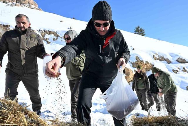 G&uuml;m&uuml;şhane&rsquo;de a&ccedil; kalan yaban hayvanları i&ccedil;in seferberlik 1