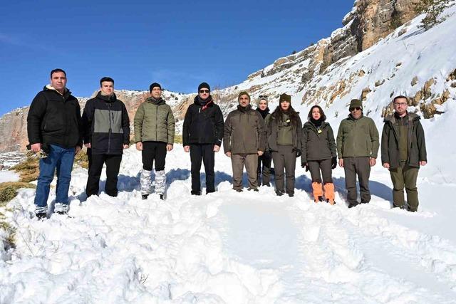 G&uuml;m&uuml;şhane&rsquo;de a&ccedil; kalan yaban hayvanları i&ccedil;in seferberlik 8