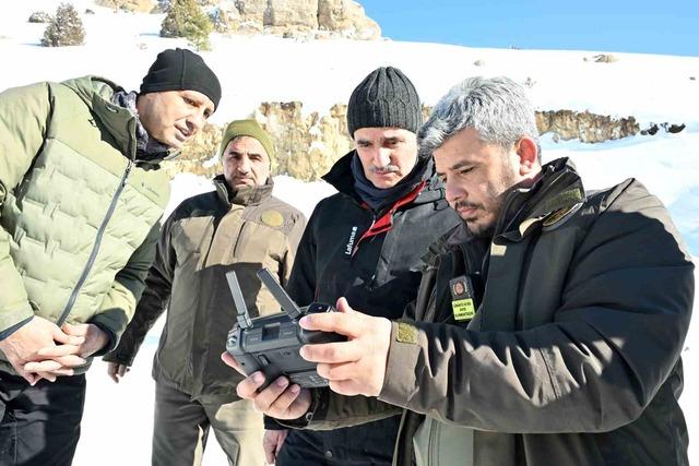 G&uuml;m&uuml;şhane&rsquo;de a&ccedil; kalan yaban hayvanları i&ccedil;in seferberlik 9