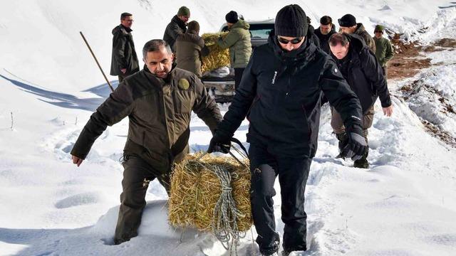 Gümüşhane’de aç kalan yaban hayvanları için seferberlik