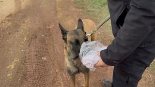 7. gün Kapıdağ'da umut nöbeti sürüyor