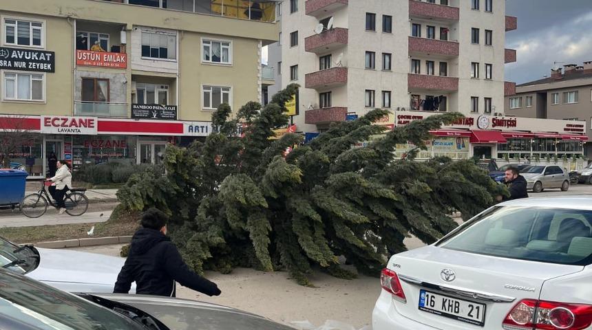 Bursa'da lodos etkili oldu; reklam tabelaları devrildi