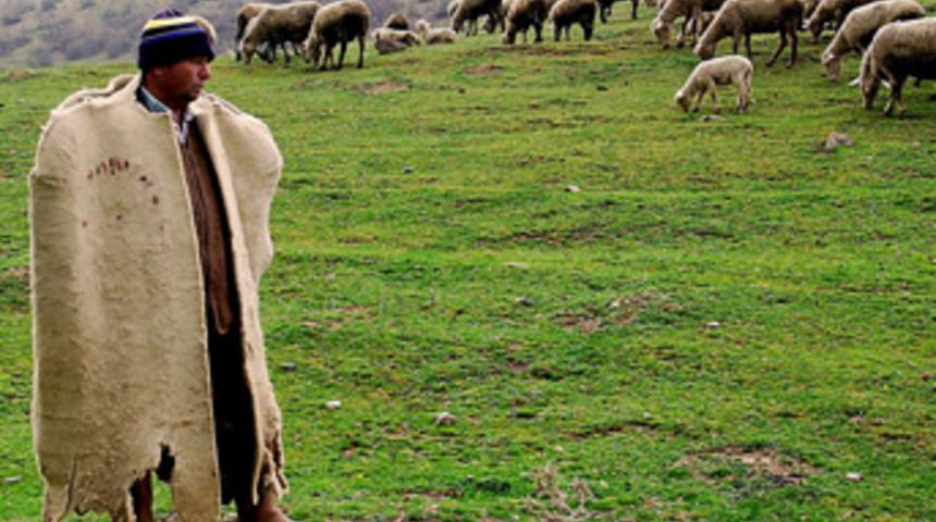 Çoban bulamayan işletmeler kapanma noktasında