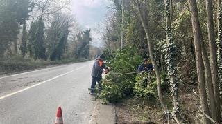 İstanbul için uyarı! Fırtına devam edecek: Çok sayıda ağaç devrildi