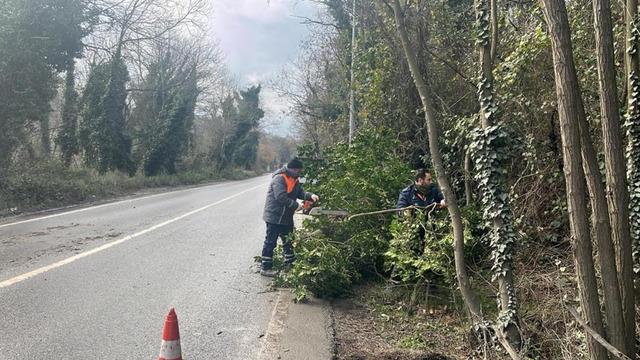 İstanbul için uyarı! Fırtına devam edecek: Çok sayıda ağaç devrildi