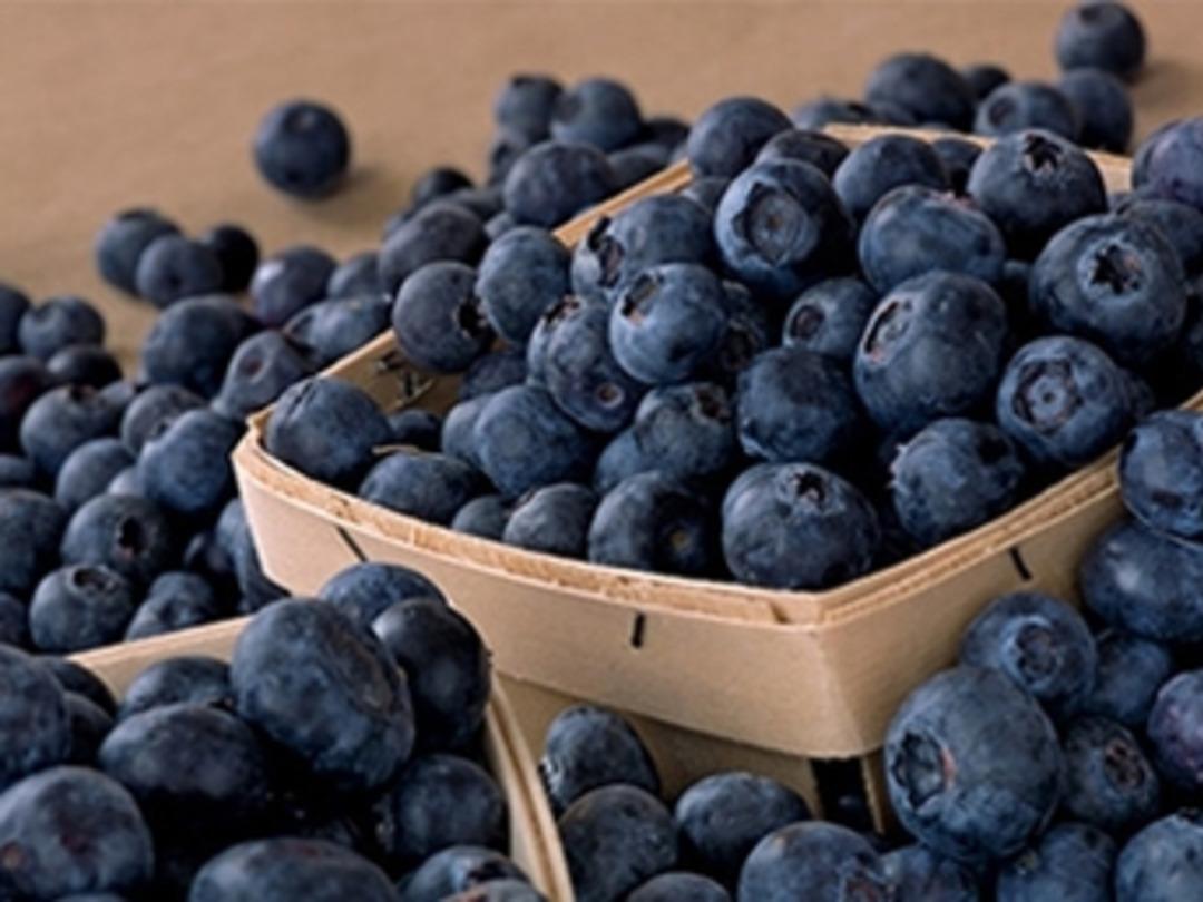 Ekeni paraya boğacak bitki