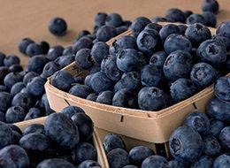 Ekeni paraya boğacak bitki