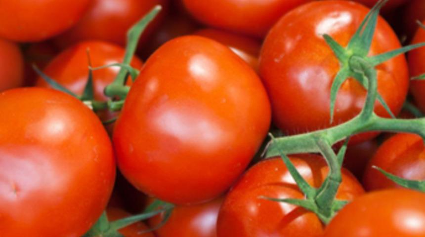 Antalya'da 27 ton domates imha edildi