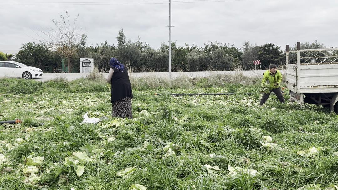 Bedava dağıttığını duyan koştu: &Ccedil;uval &ccedil;uval aldılar 2