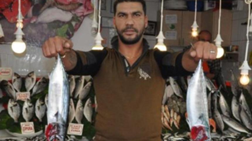 Fiyatlar yarı yarıya