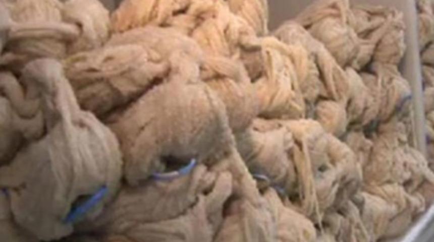 Bunu almak izin Avrupa kapımıza dikildi