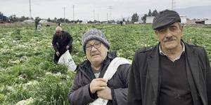 Bedava dağıttığını duyan koştu: &Ccedil;uval &ccedil;uval aldılar