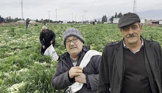 Bedava dağıttı, duyan koştu: &Ccedil;uval &ccedil;uval aldılar