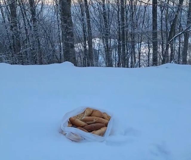 Yaban hayvanları için dağa çıktı, iki geyikle karşılaştı 2