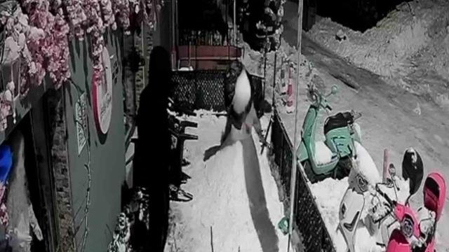 Zonguldak&rsquo;ta pes dedirten olay; "Bana &ccedil;arptı" deyip kardan adamı d&ouml;vd&uuml;ler 7