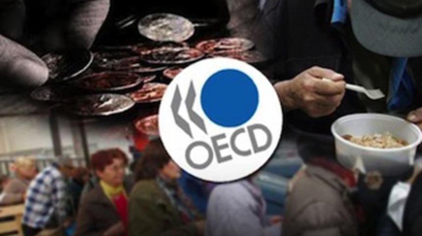 Mithat Rende, OECD İcra Komitesi Başkanı oldu
