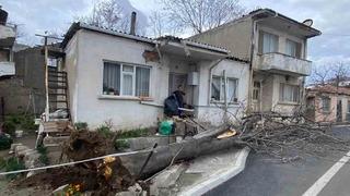 Çanakkale’de lodos! Fırtınada devrilen ağaç eve zarar verdi