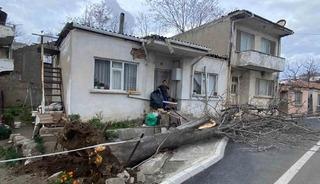 &Ccedil;anakkale&rsquo;de lodos! Fırtınada devrilen ağa&ccedil; eve zarar verdi