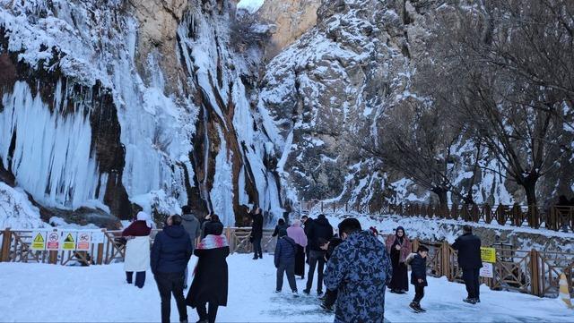 Malatya’da Gürpınar Şelalesi buz tuttu 3