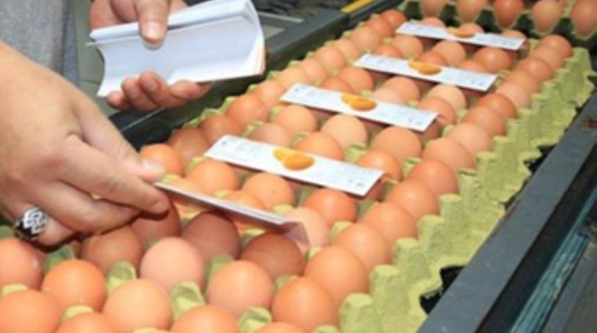 Yumurtaya 'ayar' geliyor