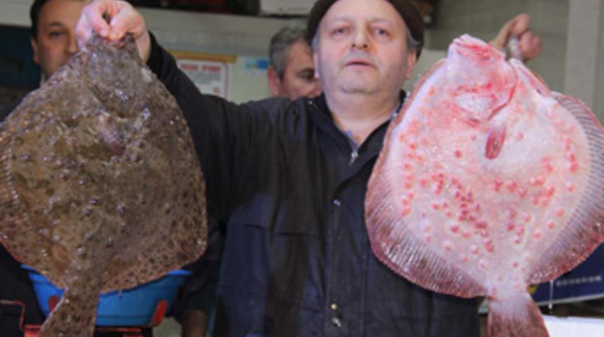 Kilosu 100 lirayı buldu