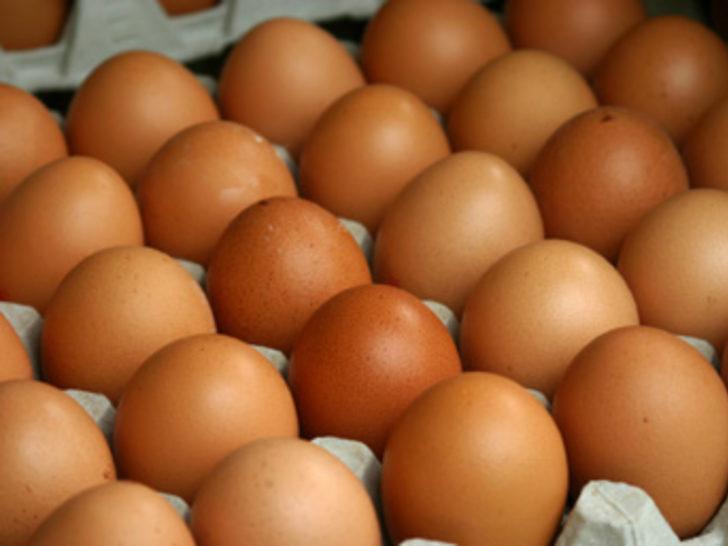 28 günden eski yumurtalar satılamayacak