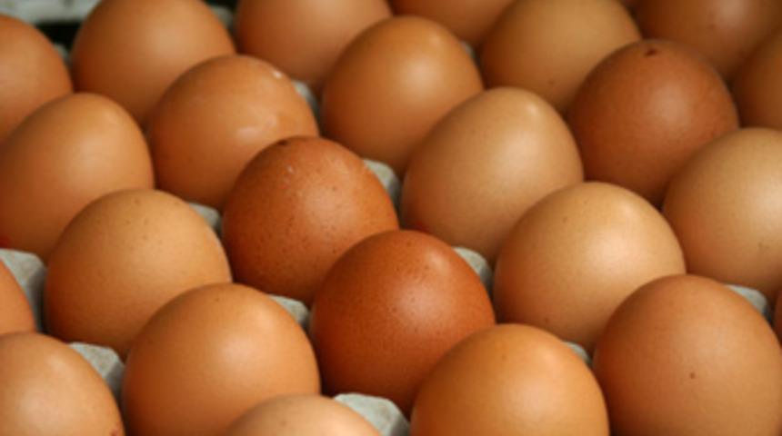 28 g&uuml;nden eski yumurtalar satılamayacak