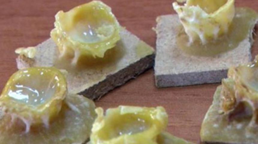 Kilosu 5 bin liradan satılıyor