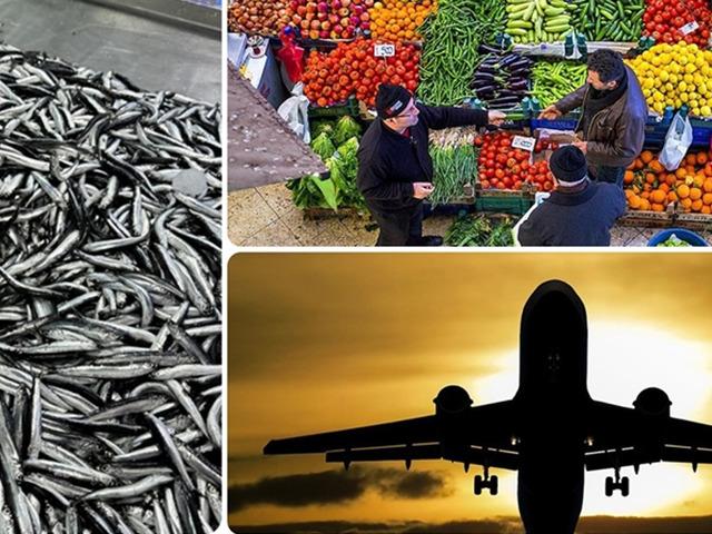 Aralık'ta fiyatı en &ccedil;ok artan ve d&uuml;şen &uuml;r&uuml;nler belli oldu!