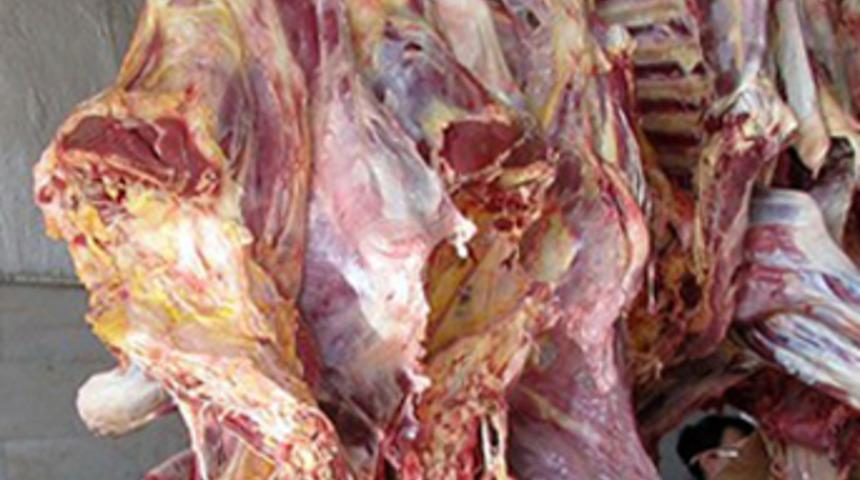 21 ton kaçak ete el kondu