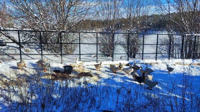 Yozgat&rsquo;ta kar yağışının ardından soğuk hava etkili oldu, g&ouml;letler dondu 4