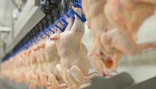 Kırmızı etin ardından beyaz ete de zam kapıda! Fiyatlarda y&uuml;zde 25 artış bekleniyor