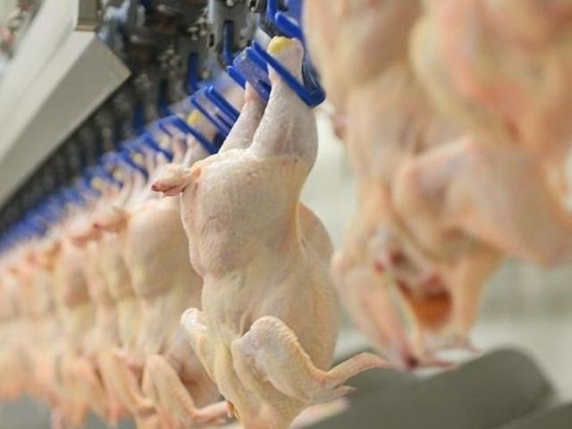 Kırmızı etin ardından beyaz ete de zam kapıda! Fiyatlarda y&uuml;zde 25 artış bekleniyor