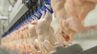 Kırmızı etin ardından beyaz ete de zam kapıda! Fiyatlarda yüzde 25 artış bekleniyor