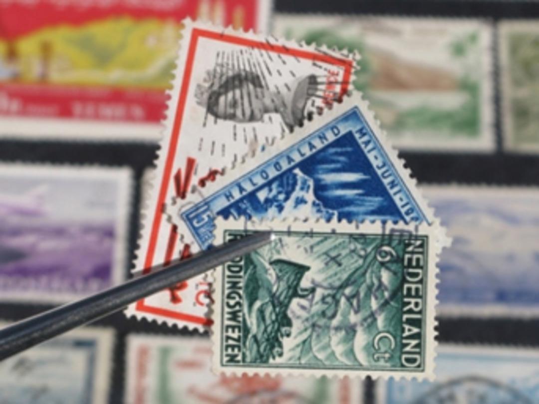 Altından ve borsadan daha &ccedil;ok kazandırıyorlar