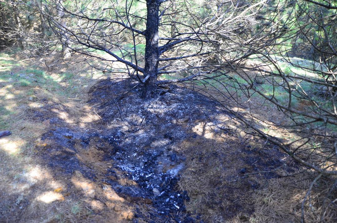 Sevgilisini &ouml;nce boğdu ardından cesedini bir g&uuml;n arayla iki kez yaktı! 5