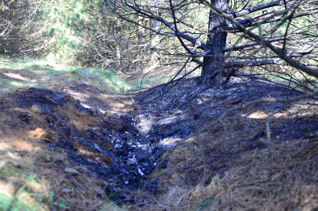 Sevgilisini &ouml;nce boğdu ardından cesedini bir g&uuml;n arayla iki kez yaktı! 4