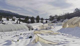 Yoğun kar &ccedil;ok sayıda serayı yıktı