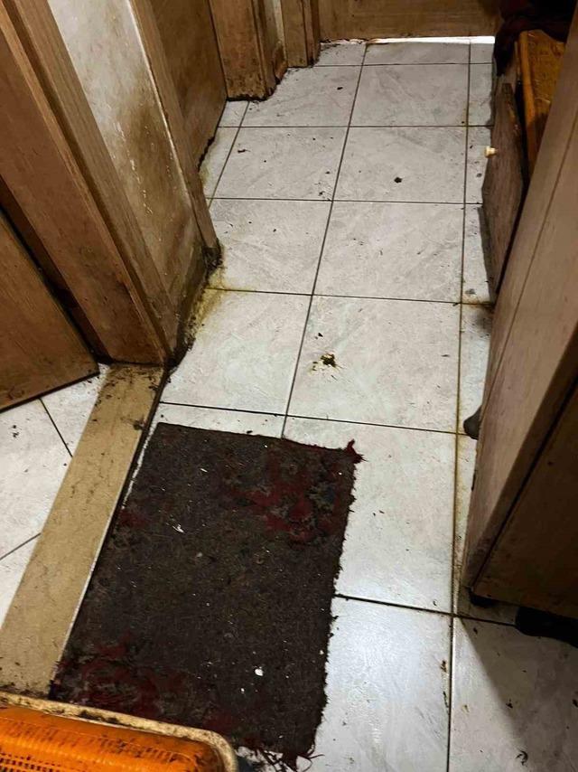 Kapı a&ccedil;ılınca karşılaşılan manzara şoke etti 5